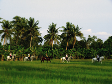 Thailand-Thailand-Pattaya Equestrian Retreat